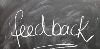 Jak rozmawiać ze świnka morska?