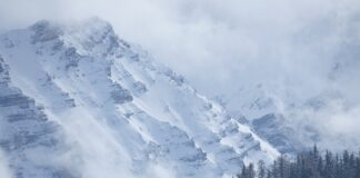 Co sprawdzają na przeglądzie 2023?