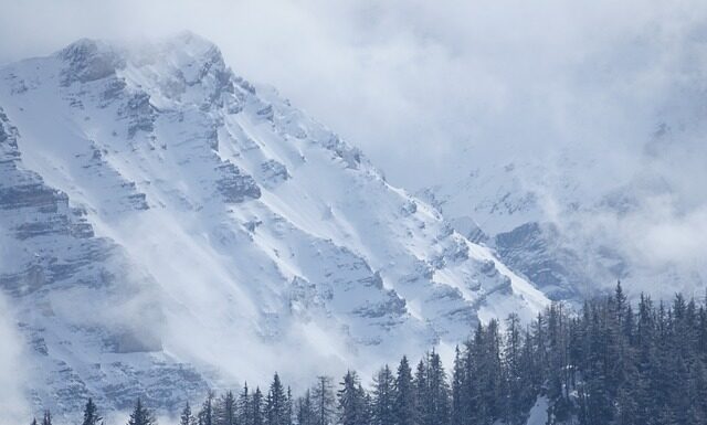 Co sprawdzają na przeglądzie 2023? Co sprawdzają na przeglądzie 2023?