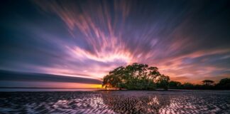 Czym Zatkać odpływ?