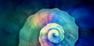 Czy można skręcać na sprzęgle?