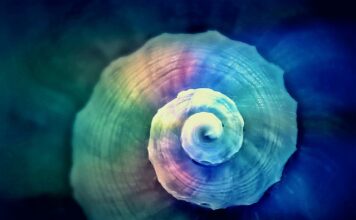 Czy można skręcać na sprzęgle?