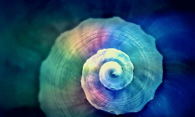 Czy można skręcać na sprzęgle? Czy można skręcać na sprzęgle?