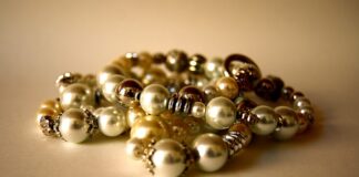 Gdzie można kupić mech?