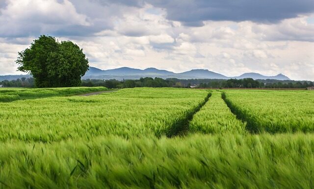 Jak szybko spuścić powietrze z opon? Jak szybko spuścić powietrze z opon?