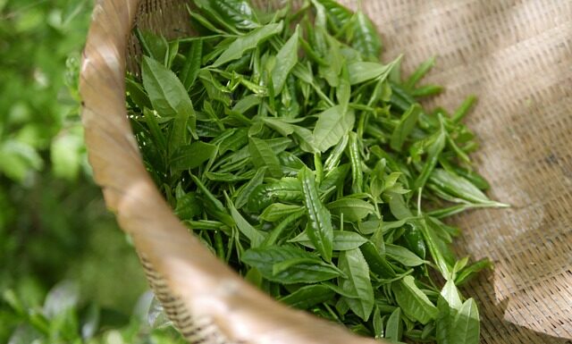 Ile kosztuje zielona naklejka? Ile kosztuje zielona naklejka?