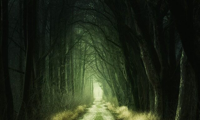 Jak uzyskać zielona naklejkę na samochód?