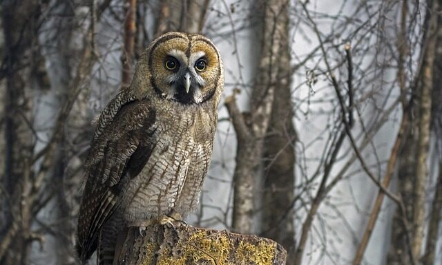 Ile pali hybryda na 100km? Ile pali hybryda na 100km?