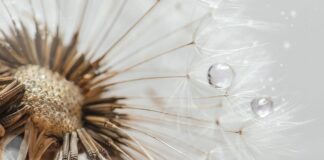 Co to jest drop w rowerze?