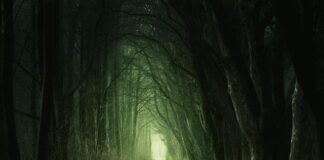 Ile kosztuje zielona plakietka?