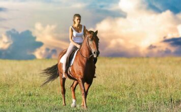 Co sprawdzamy przed jazda motocyklem? Co sprawdzamy przed jazda motocyklem?