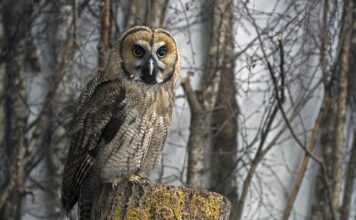 Ile przejedzie hybryda na prądzie? Ile przejedzie hybryda na prądzie?