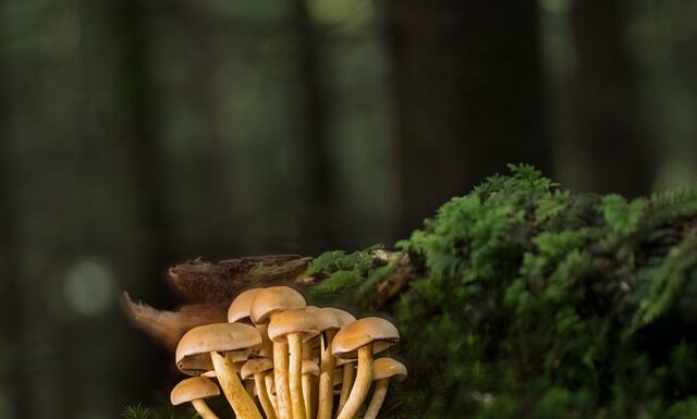 Czym przykleić listwy progowe? Czym przykleić listwy progowe?