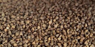 Co daje Gryka w materacu?