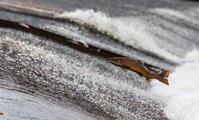 Ile prądu zużywają świece żarowe? Ile prądu zużywają świece żarowe?