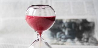 Po jakim czasie zwróci się hybryda?