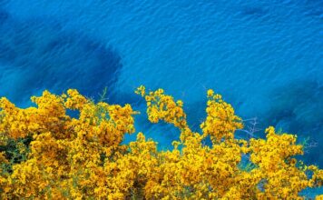 Jak usunąć żółte plamy z pokrowca materaca?