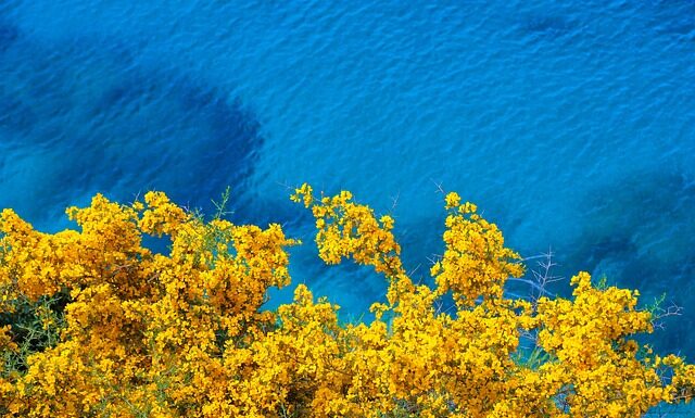 Jak usunąć żółte plamy z pokrowca materaca? Jak usunąć żółte plamy z pokrowca materaca?