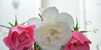 Jak wyczuć pedały w samochodzie?