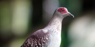 Co to jest adaptacyjne zawieszenie?