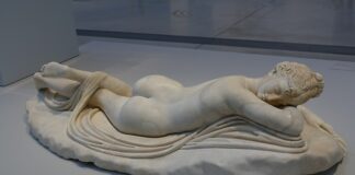 Ile lat żyją świnki morskie?