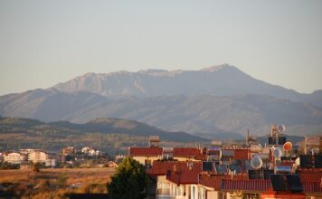 Jaka nagrzewnica olejowa do domu?