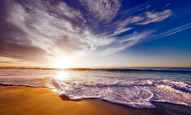 Co oznacza pianka T30?