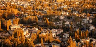 Czym się różni PHEV od HEV?