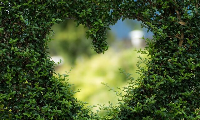 Jak zdobyć zieloną naklejkę na szybę samochodu?