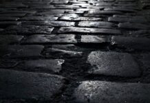 Jakie podłoże pod mech?