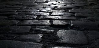 Jakie podłoże pod mech?