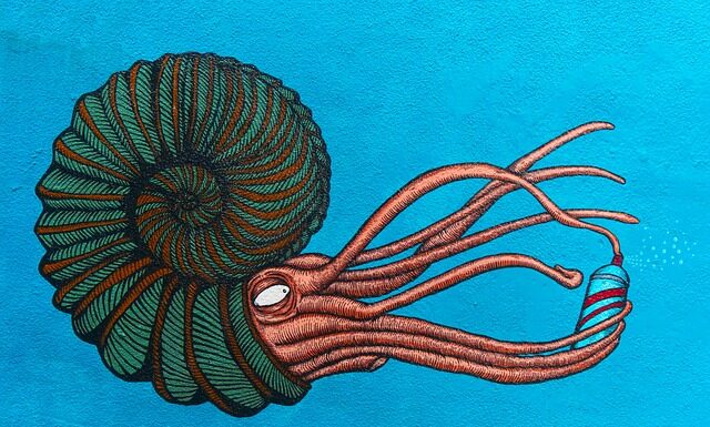 Jaki syfon pod zmywarkę?