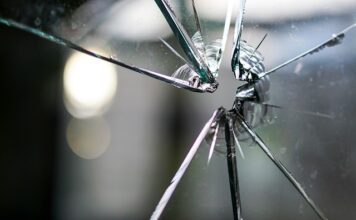 Co na uszkodzenie kory?