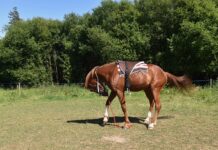 Kiedy montować listwy progowe?