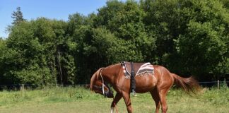 Kiedy montować listwy progowe?