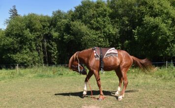 Kiedy montować listwy progowe? Kiedy montować listwy progowe?