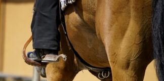 Czy warto zakładać maty grzewcze?