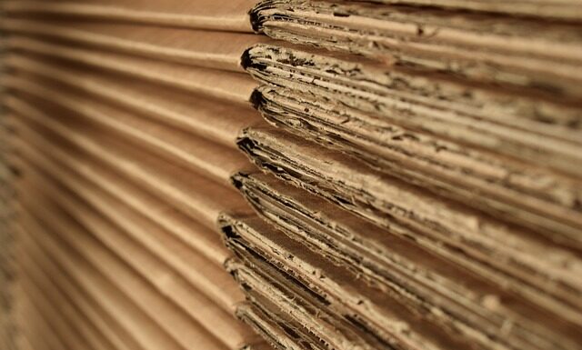 Co można zrobić z pudełka po lodach? Co można zrobić z pudełka po lodach?