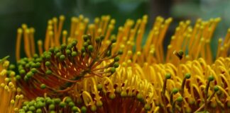 Co można zrobić z białek Ania gotuje?