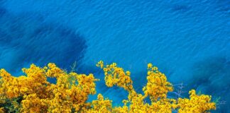 Jak usunąć żółte plamy z materaca?