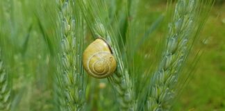 Jak uszczelnić korek wlewu paliwa?