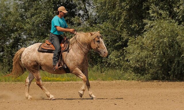 Jakim autem można wjechać do Wiednia?