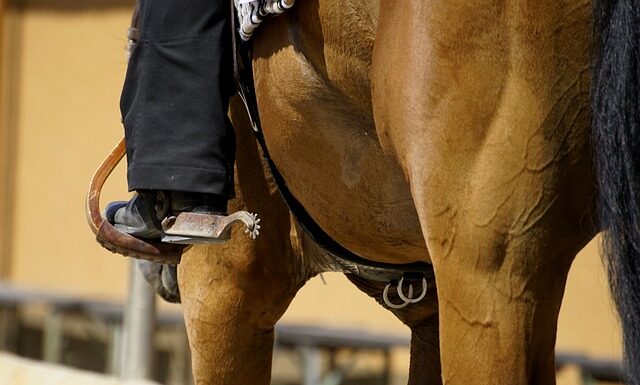 Kiedy zakładać lepy na drzewa owocowe? Kiedy zakładać lepy na drzewa owocowe?