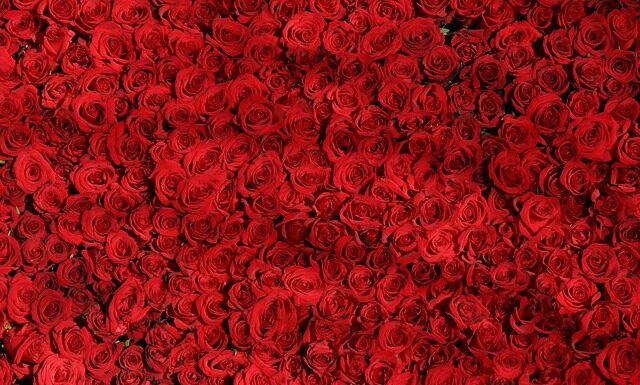 Czym się różni KitchenAid Classic od Artisan? Czym się różni KitchenAid Classic od Artisan?