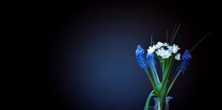 Z jaką dokładnością ważą roboty marki Kenwood?