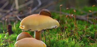 Gdzie zgłosić uszkodzenie opony na drodze?