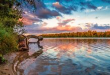 Ile zapłacę za 2000 kWh? Ile zapłacę za 2000 kWh?