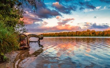 Ile zapłacę za 2000 kWh? Ile zapłacę za 2000 kWh?