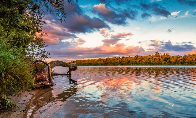 Ile zapłacę za 2000 kWh? Ile zapłacę za 2000 kWh?