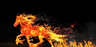 Jak wypełnić ubytek w oponie?